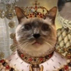 Meet your Posher, Jason conner